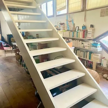 Architect Loft